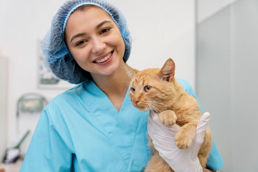 В Казахстане впервые празднуется День ветеринарного работника