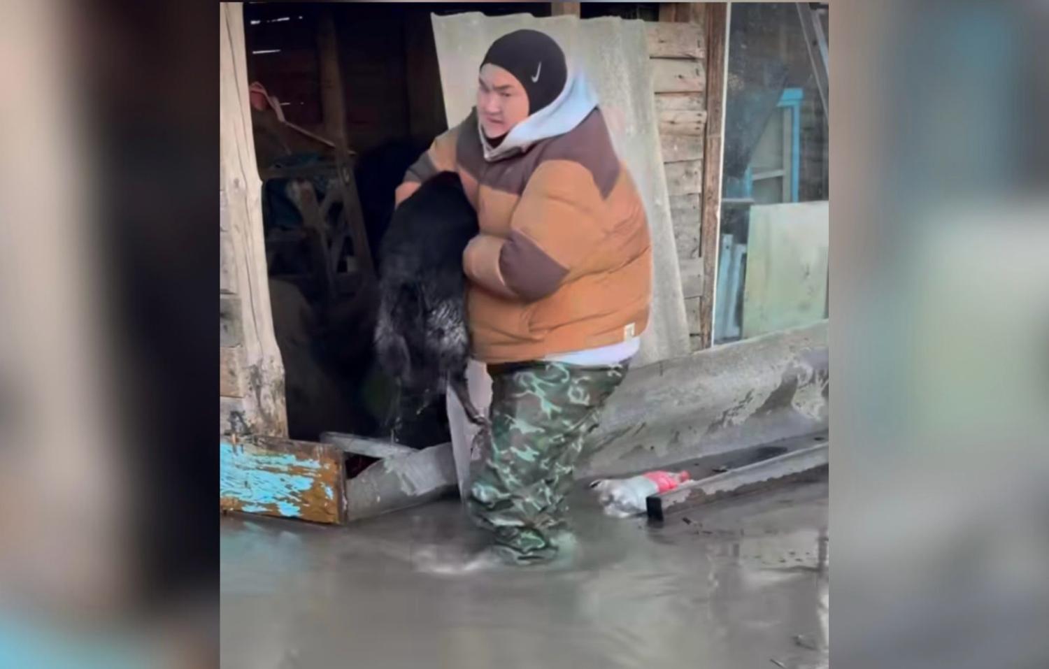 Блогер Zheka Fatbelly помогает в эвакуации пострадавших от паводков в СКО
